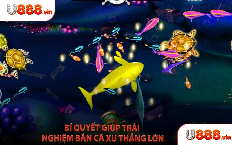 Bí Quyết Giúp Trải Nghiệm Bắn Cá Xu Thắng Lớn
